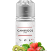 Strawberry Kiwi Ice by Cambridge Labs Salt