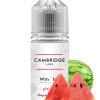 Watermelon Ice by Cambridge Labs Salt