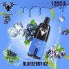 Blueberry Ice by Kalyan Pro 12000